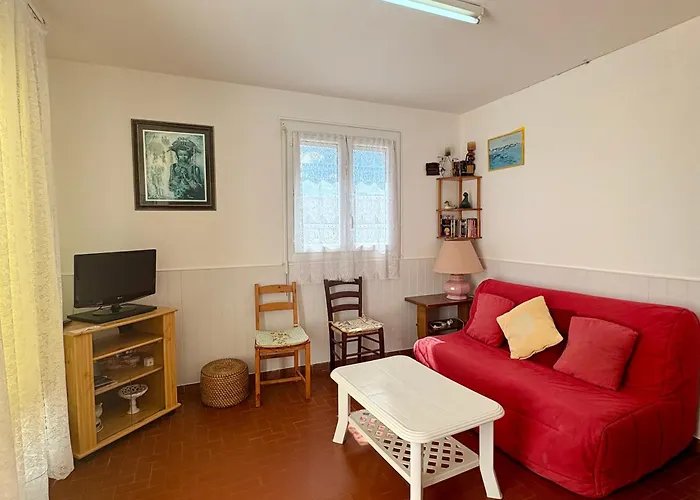 Apartment Deux Pieces 4 Personnes Face 4gl1c204 Le Barcares
